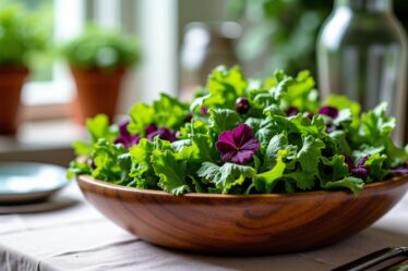 Mesclun : Découvrez les Vertus Santé de cette Salade Gourmande et Raffinée